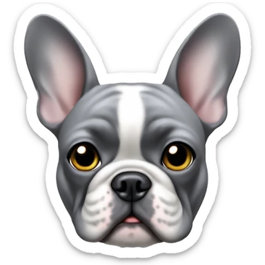 all grey female french bulldog face only sticker