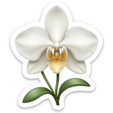 orchid sticker