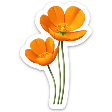 single Eschscholzia californica, straight stem sticker