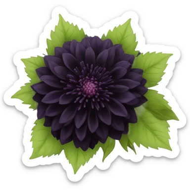 black dahlia flower sticker