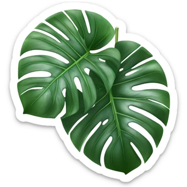 Monstera Variegata sticker