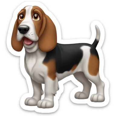 Bassett hound sticker