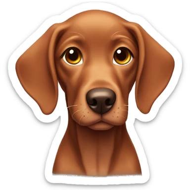 viszla puppy sticker