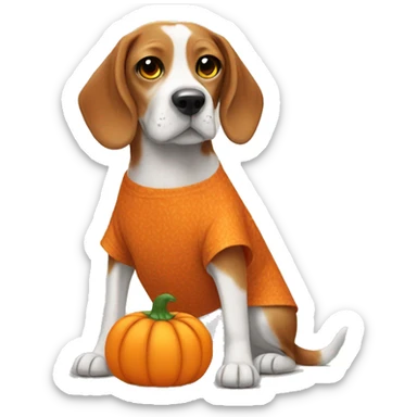 Beagle wearing a pumpkin dress sticker