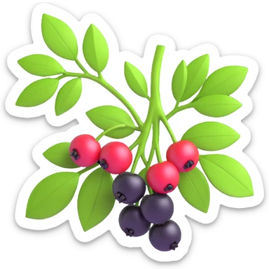 Redraw the cherry branch with black berries and green leaves in a modern 3D iOS style. Add volume, expressive light and shadow, and a clean background. sticker