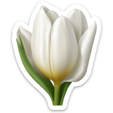 Whitte tulipan sticker