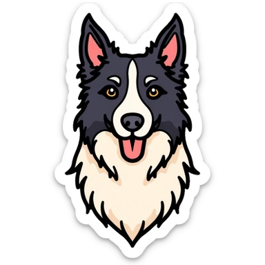 Border collie dog with only one black ear sticker