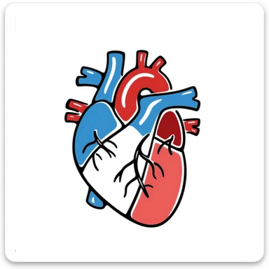 A hand-drawn anatomical heart with detailed chambers and arteries in medical diagram style, showing blue veins and red arteries, with clear internal structure, oxygenated blood in red and deoxygenated blood in blue sticker