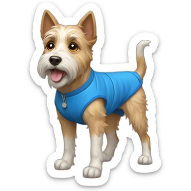 norwitch terrier dog in blue shorts sticker