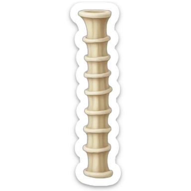 Vertebral column sticker