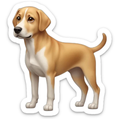  31 / 5 000 Résultats de traduction Résultat de traduction a human on the back of a dog sticker