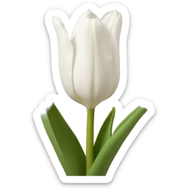 tulipan blanco  sticker