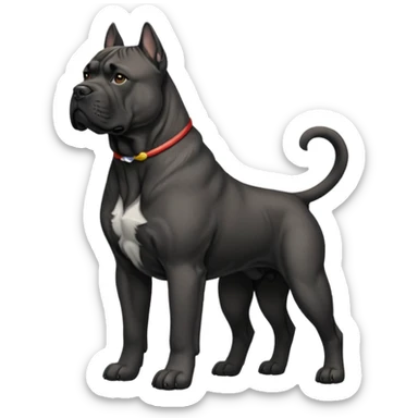 Cane Corso Dog Preliminary Acceptance Inspection sticker