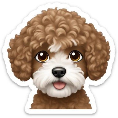 Me (brown hair and eyes) with maltipoo sticker