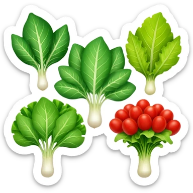 different salad leaves different colors  sticker