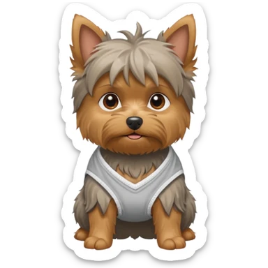 Small old yorkie wearing a diaper sticker