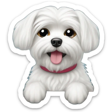 Maltese dog in car sticker