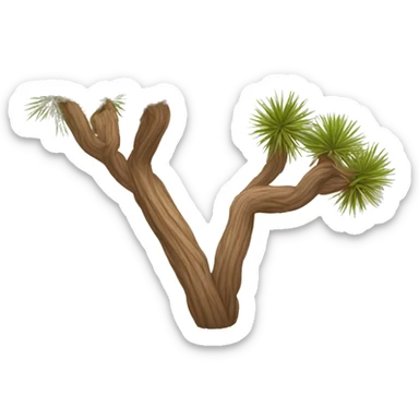 joshua tree sticker