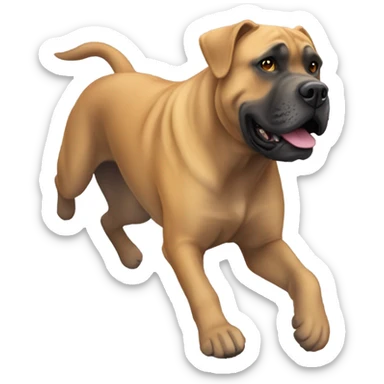 An orange-colored Cane Corso gliding in a 🪂  sticker