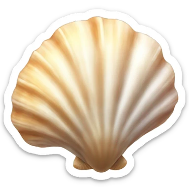 Seashell sticker