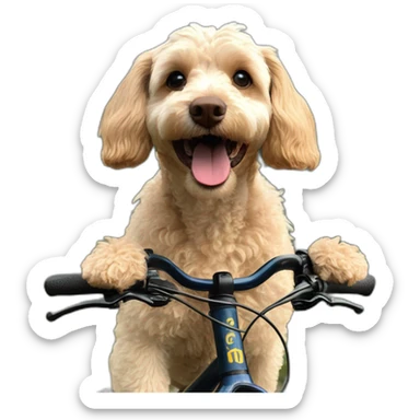 happy cockerpoo on mountain bike sticker