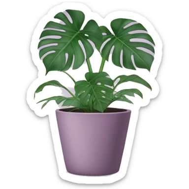 Monstera plant in mauve pot  sticker