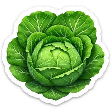 cabbage leaf   sticker