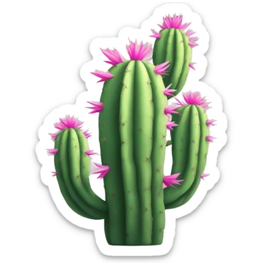 Pink cactus  sticker