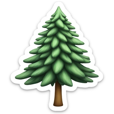  actual white fir christmas tree isolated.  sticker