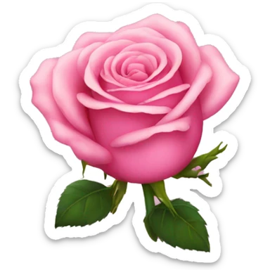 Pink rose sticker