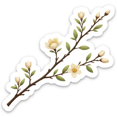 A twig Creamy color flower aesthetic  sticker