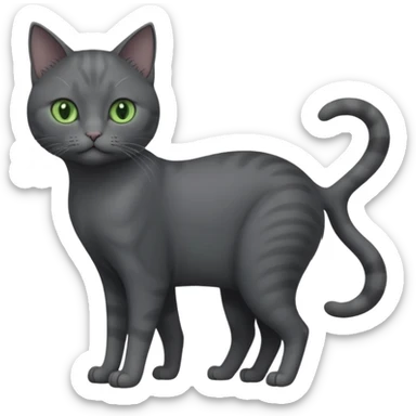 full body view of beautiful female solid dark grey cat with green eyes, grey face, white toes/paws and small white patch on her chest sticker