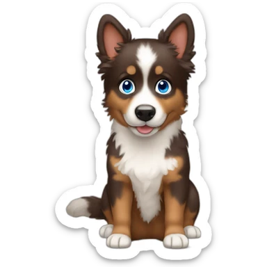 Berger australien brown tricolore blue eyes sticker