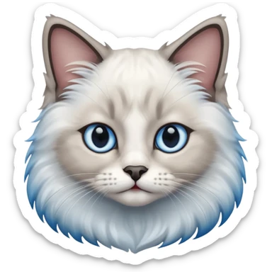 Ragdoll cat, with dark nose area with bright blue eyes sticker