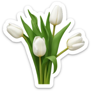 White tulips  sticker