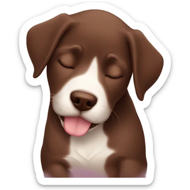 cute sleeping puppie chocolate labrador sticker
