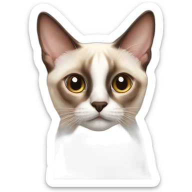 white red point siamese sticker