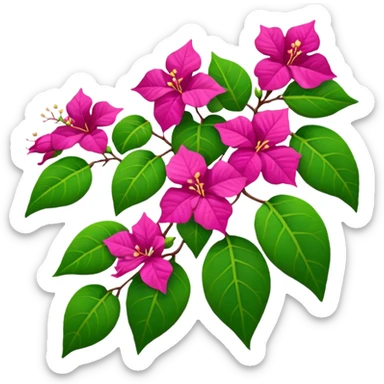Bougainvillea sticker