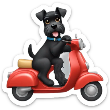 Miniature black Schnauzer driving a vespa sticker