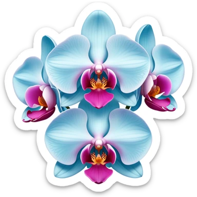 orchid light blue and baby pink  sticker