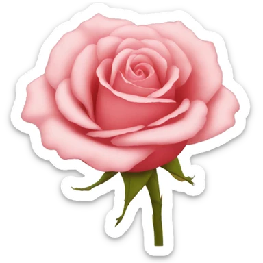 rose rose sticker