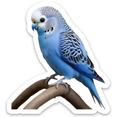 Cinematic Noble Blue Budgie Portrait Emoji, Poised and regal, with a petite, delicate build and a smooth, well-groomed fur of vibrant blue feathers, deep-set soulful dark eyes, Simplified yet sharp and sophisticated features, highly detailed, glowing with a soft, dignified glow, high shine, intelligent and charming, stylized with an air of elegance, focused and attentive, soft glowing outline, capturing the essence of a watchful and confident avian companion, so majestic it feels as though it could flutter out of the screen with effortless authority! sticker