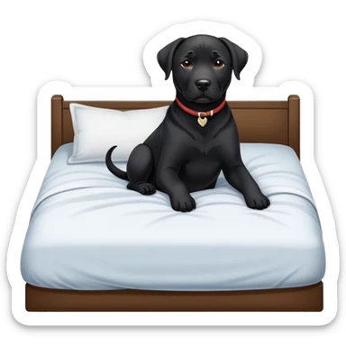 Tugging black lab/amstaff dog into bed sticker