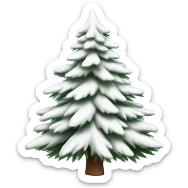  actual white fir christmas tree isolated.  sticker