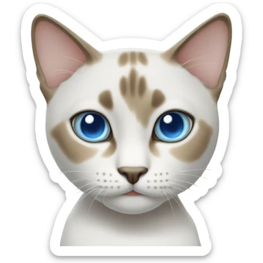 Thai cat with blue eyes sticker