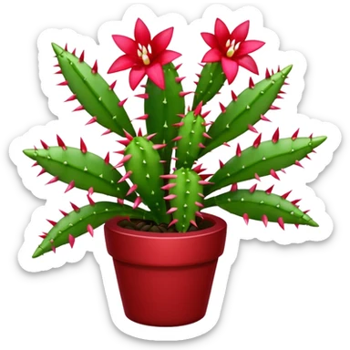 christmas cactus  sticker