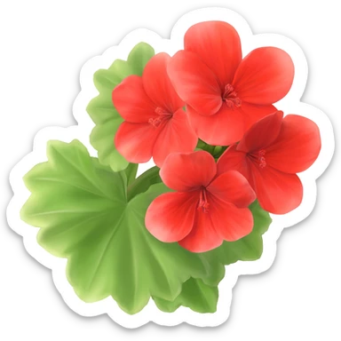 geranium sticker