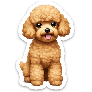 Toy poodle apricot  sticker