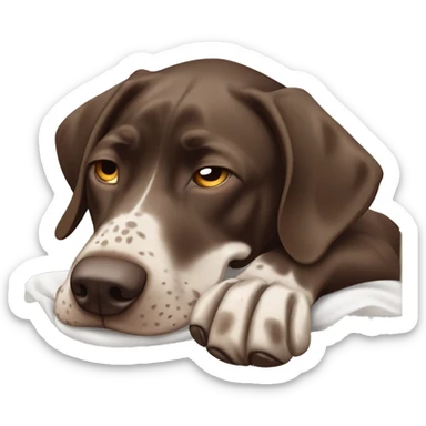 Brown German short haired pointer  with ticking looking sleepy, falling asleep, laying down, facing camera  sticker