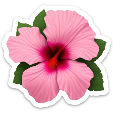 Pink hibiscus flower sticker